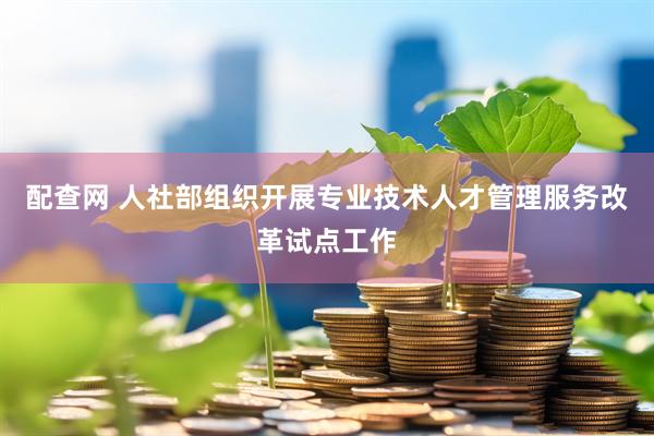 配查网 人社部组织开展专业技术人才管理服务改革试点工作