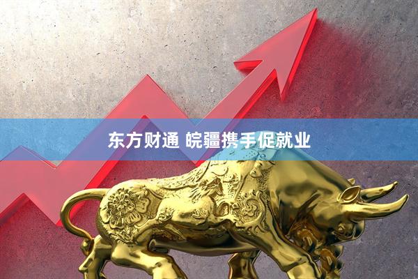 东方财通 皖疆携手促就业