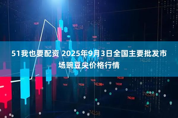 51我也要配资 2025年9月3日全国主要批发市场豌豆尖价格行情