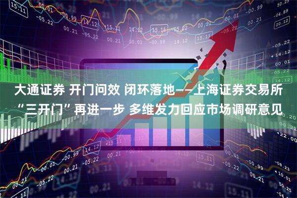 大通证券 开门问效 闭环落地——上海证券交易所“三开门”再进一步 多维发力回应市场调研意见