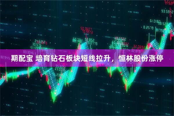 期配宝 培育钻石板块短线拉升，恒林股份涨停